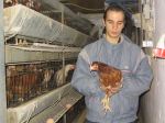 Hühnerbefreiung und Aktion Weltvegetariertag 2005